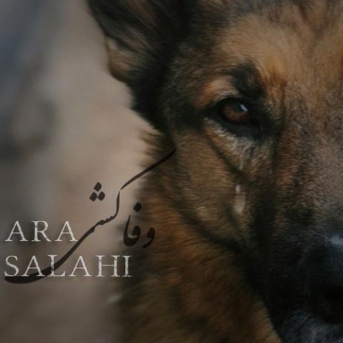 آرا صلاحی وفاکشی
